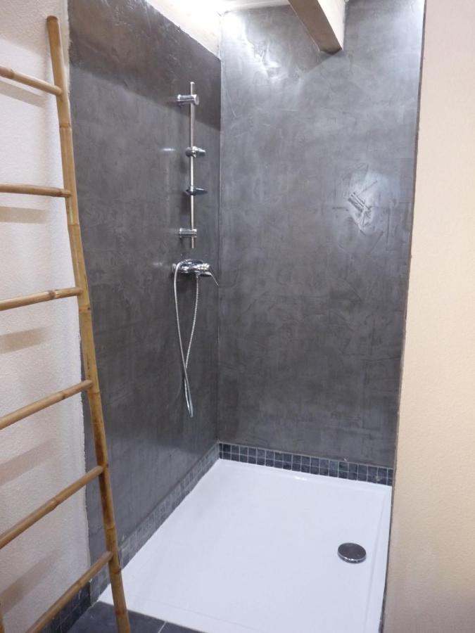 Appartement 1Ch Et Mezzanine Sarras エクステリア 写真